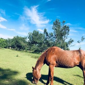 Meet your Posher, Adalyn